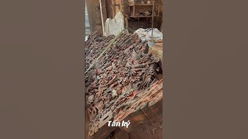 Nổi chiếc đoản gỗ trắc nặng hơn 1 tấn chỉ cần 1 sợi dây