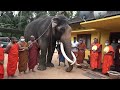 Nadungamuwe raja / The Nedungamuwe Elephant was silent while preaching Pirith