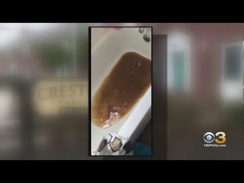 video-shows-sewage-backing-up-family