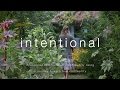 intentional - Season 1 Episode 2: Dancing Rabbit Ecovillage