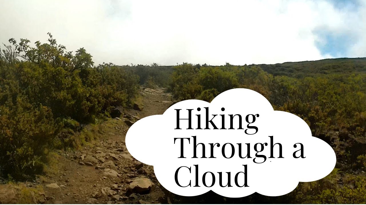 Hiking Through A Cloud - Halemauu Trail in Haleakala National Park
