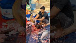 Best Fish Cutting Master In The World #shorts #shortsfeed #youtubeshorts
