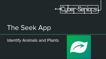 The Seek App: Identify Plants and Animals