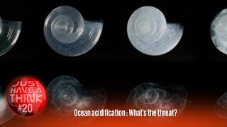 Ocean Acidification : What's the threat?