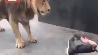 Aso Ve Paylaşımları - Çı Ben Pe Te Tı -