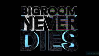 Hardwell & Blasterjaxx ft Mitch Crown - Bigroom Never Dies (Extended Mix)