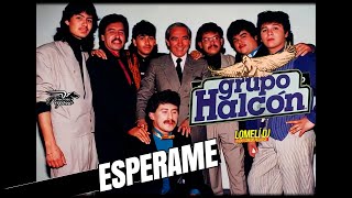1991 - Grupo HALCON - ESPERAME - En vivo - #montemorelos -