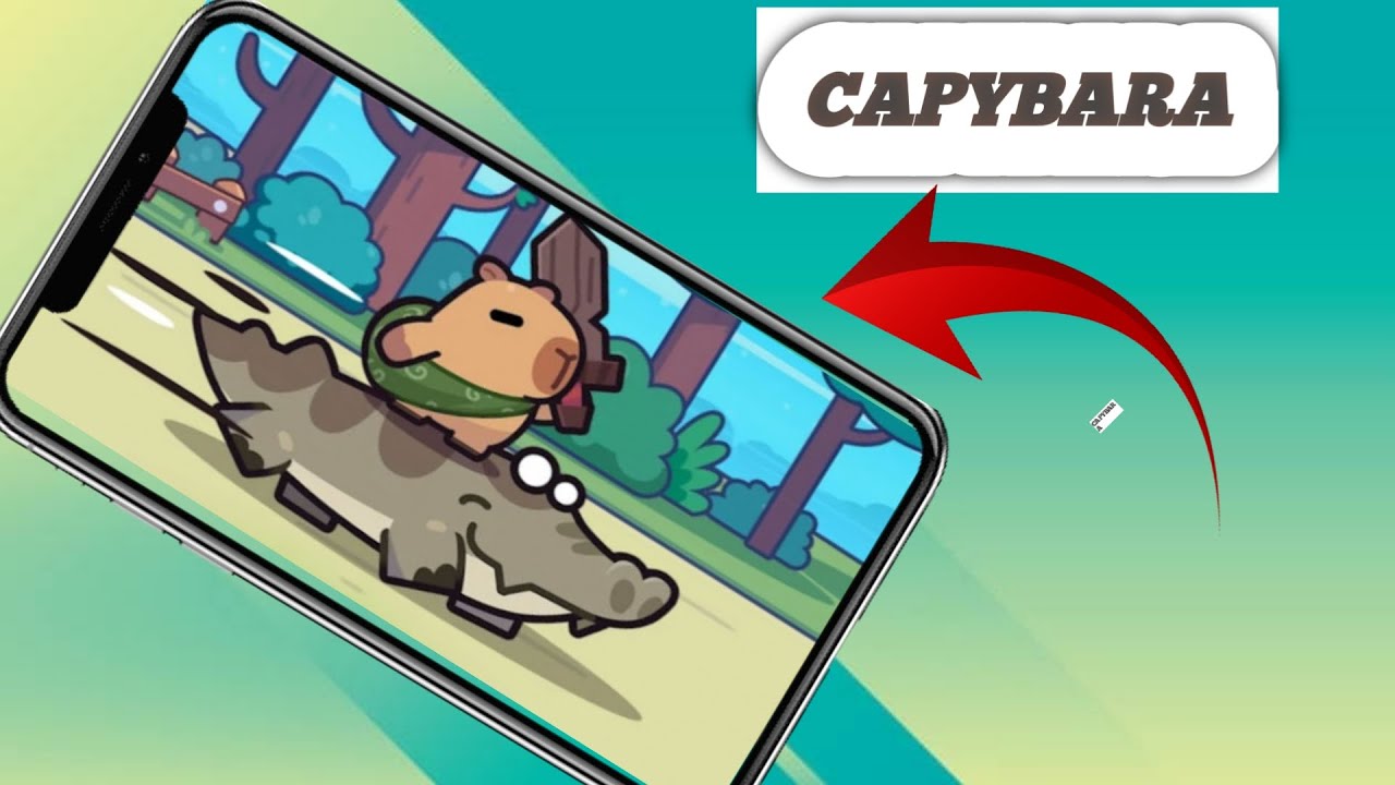 CAPYBARA Go ! 2024 Update