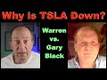 TESLA vs. Wall Street: Warren analyzes Gary Black