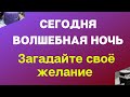 Сегодня волшебная ночь. Загадайте свое желание.