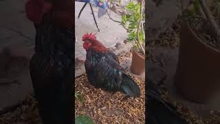 Época de Quesos - Tandil