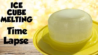 Exclusive Ice Cube Melting Time Lapse #blossom Details