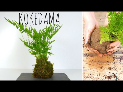 COMMENT FAIRE UN KOKEDAMA