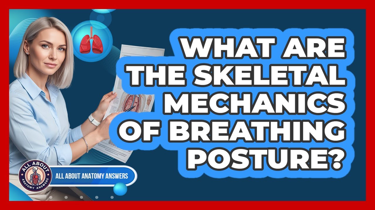 What Are The Skeletal Mechanics Of Breathing Posture?