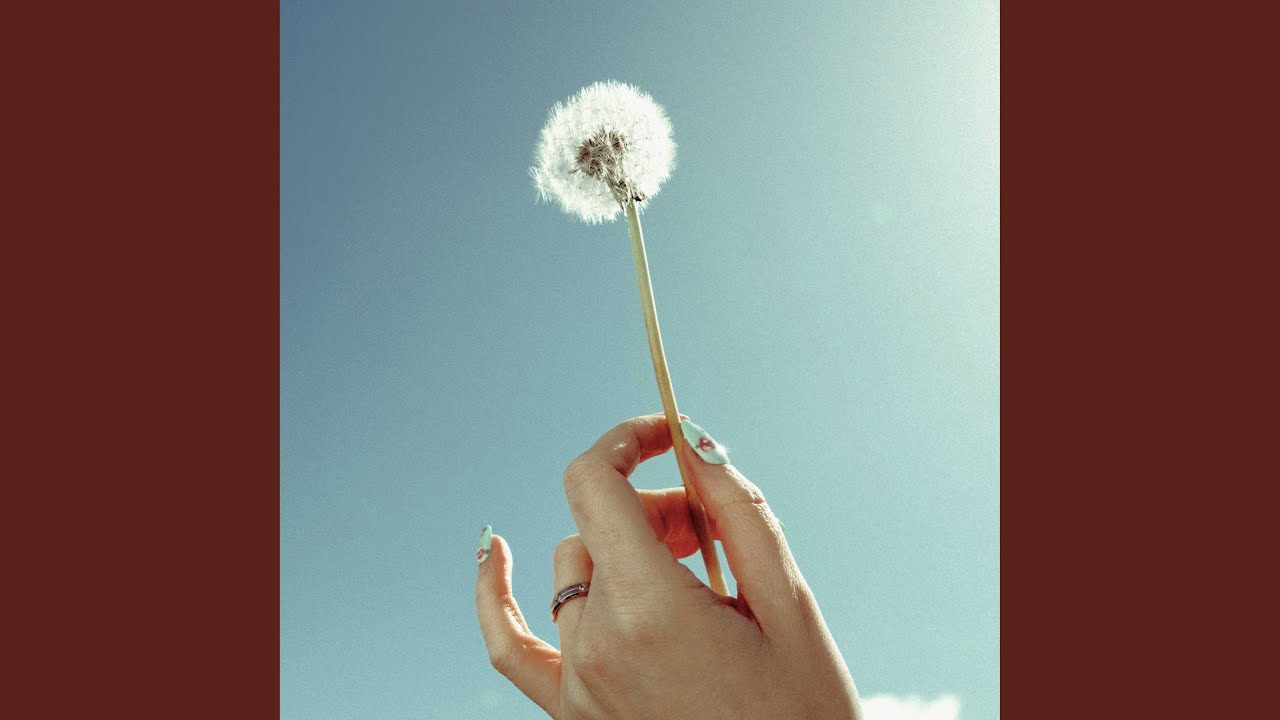 Watch Dandelion dance on YouTube Watch Dandelion dance on YouTube