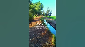 الشيخ عبدالباسط عبدالصمد تلاوة رائعة مريحة للنفس والأعصاب #اكسبلور #المصحف #تصويري