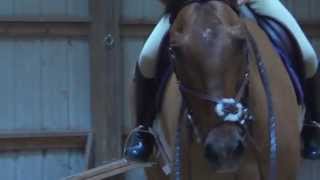 Riding and Jumping raws