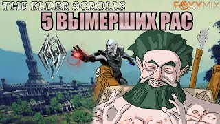 5 ВЫМЕРШИХ РАС ТАМРИЭЛЯ | The Elder Scrolls