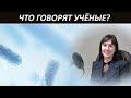 Микробы вместо удобрений. Как аграриям сэкономить миллионы рублей?