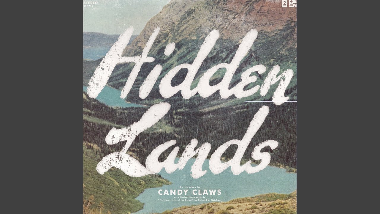 Candy Claws - Warm Forest Floor accordi