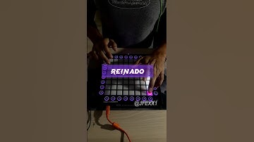 Reinado Brazilian Phonk On Launchpad #phonk #viral #jmilton #brazilian #shorts #funk #trending #fyp