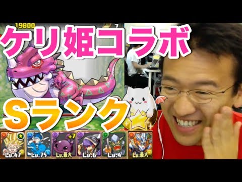 パズドラ ケリ姫コラボ Sランククリアでたまドラゲットを目指す Youtube パズドラ ケリ姫コラボ Sランククリアでたまドラゲットを目指す Youtube