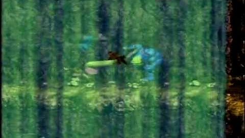 Donkey Kong Country 3: Dixie Kong