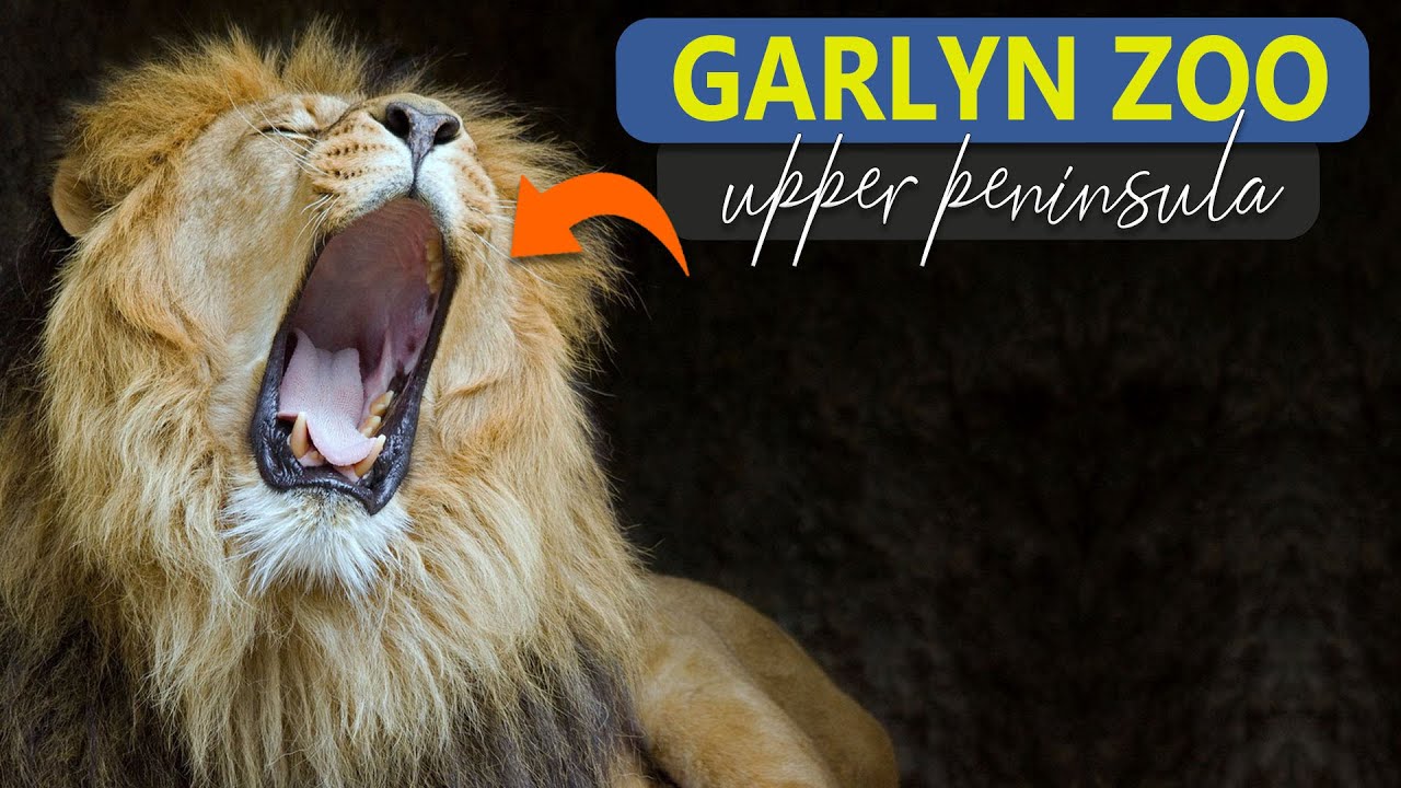 Garlyn Zoo in Naubinway, Michigan's Upper Peninsula Animal Adventure
