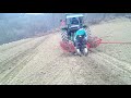 Machine planting of aronia OPG Tomašek Koprivnica Croatia the upper part of the plantation