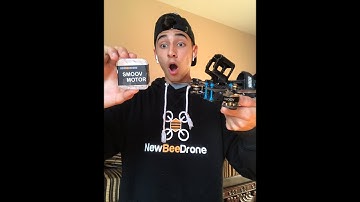 Single Ring Magnet Motor WTF!