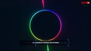 DJ Laimunuxx Vasaros Naktis remix