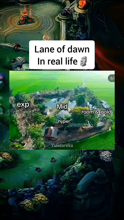 Lane of dawn in real life 🗿 #mobilelegends #mlbb #memesmlbb #memes