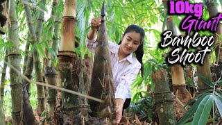 10kg Giant Bamboo Shoot Recipe / Bamboo Shoot Cooking / Prepare By Countryside Life TV