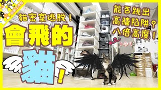 【孤貓工作室】會飛的貓貓密室逃脫能否跳出高牆陷阱最高八倍高度