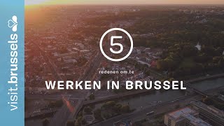 5 redenen om te werken in Brussel