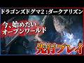 【『ドラゴンズドグマ2 :ダークアリズン』先行プレイ】めっちゃ遊びやすくなっとる...今始めるべき神オープンワールド!!