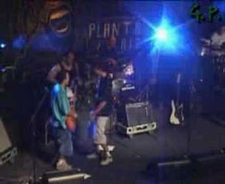 Planta e Raiz - DVD Ao Vivo  - De Você Só Quero Amor