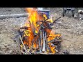 Biochar in the Forest, Creating the World's Richest Soil, Self Reliance Garden, Planting Fruit Trees