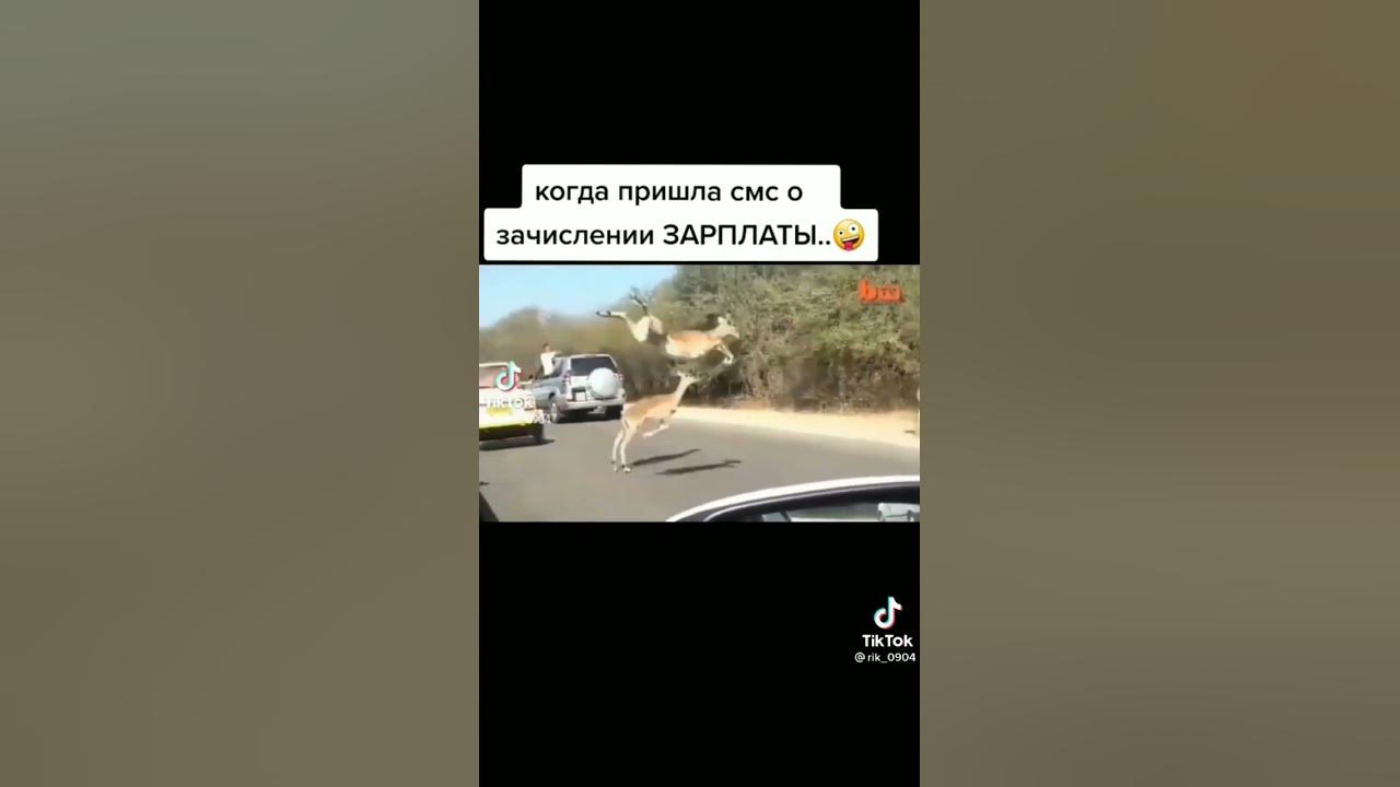 бугалтерия - YouTube
