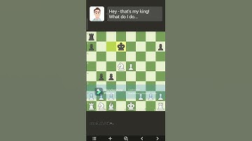 Few(?) brain cells vs Jimmy the adaptive chess bot