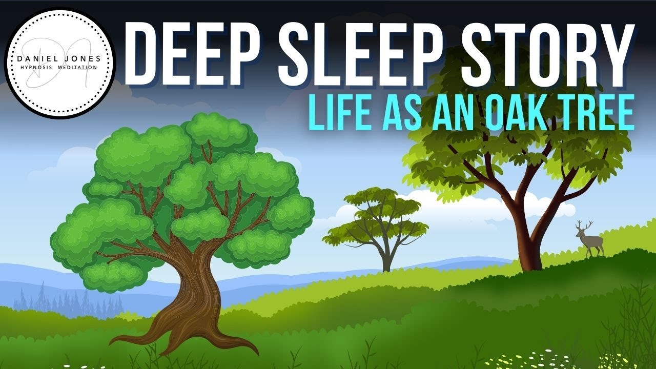 The Magical Forest Oak Tree (Bedtime Story) – Dan Jones Hypnosis