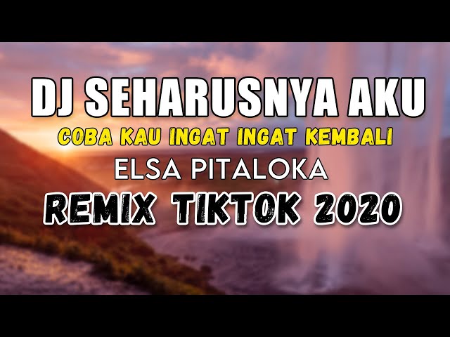 DJ COBA KAU INGAT INGAT KEMBALI | DJ SEHARUSNYA AKU FULL BASS 2020 (ELSA PITALOKA) class=