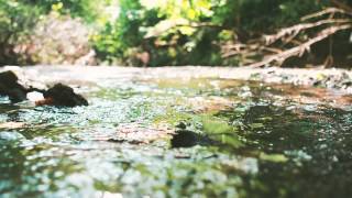 Video thumbnail of "Lou Barlow - Wave (Official Audio)"