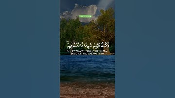 #سورة_المائدة