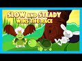 Slow And Steady Wins The Race | Short Story for Children in English | Bedtime Stories In English