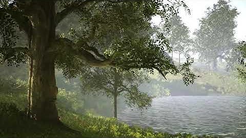 Creation of Realistic Forest Environment Using UE4 | Yellow Tree academy | Coimbatore | by GOPIGD