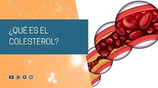 ¿Qué es el Colesterol?