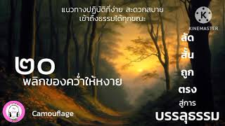 ลัดสั้นถูกตรงสู่การบรรลุธรรม EP.9 (ตอนจบ) : Camouflage