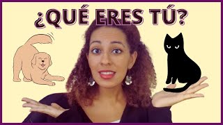 LA TEORÍA DEL BLACK CAT Y EL GOLDEN RETRIEVER: ¿CUÁL ERES TÚ?