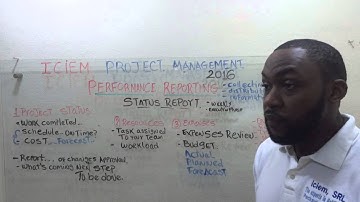 Project Management: Project Status Report